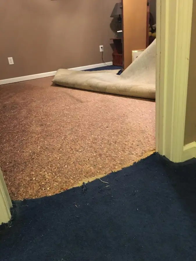 Carpet pad removal revealing water damage during Drying & Dehumidification in Lewisburg