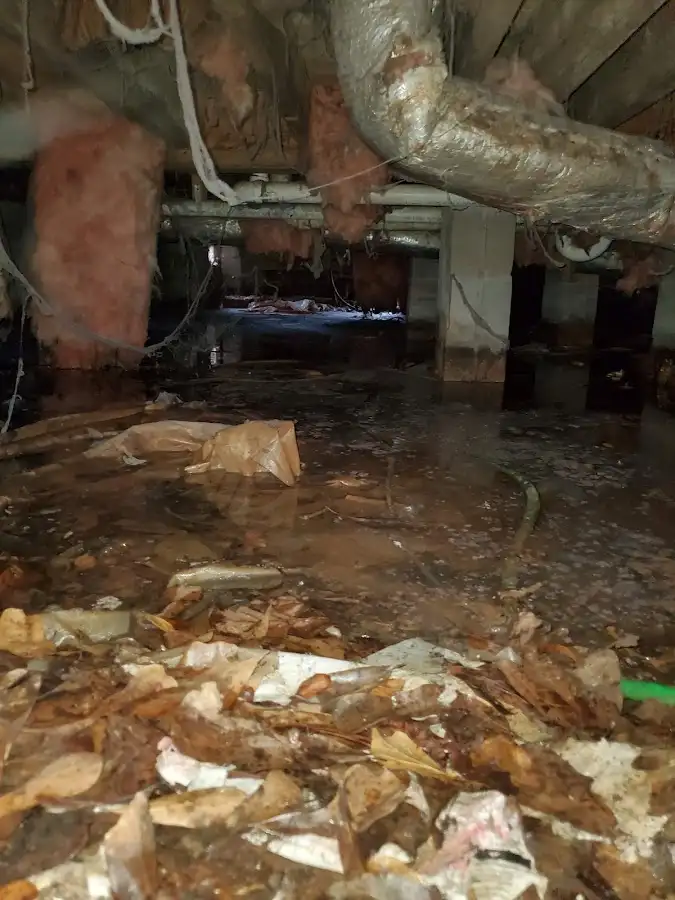 Crawl space flood assessment for Leak Detection & Repair in Lewisburg
